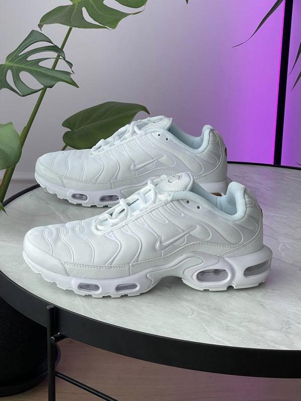 nike air max plus tn white Nike 2700