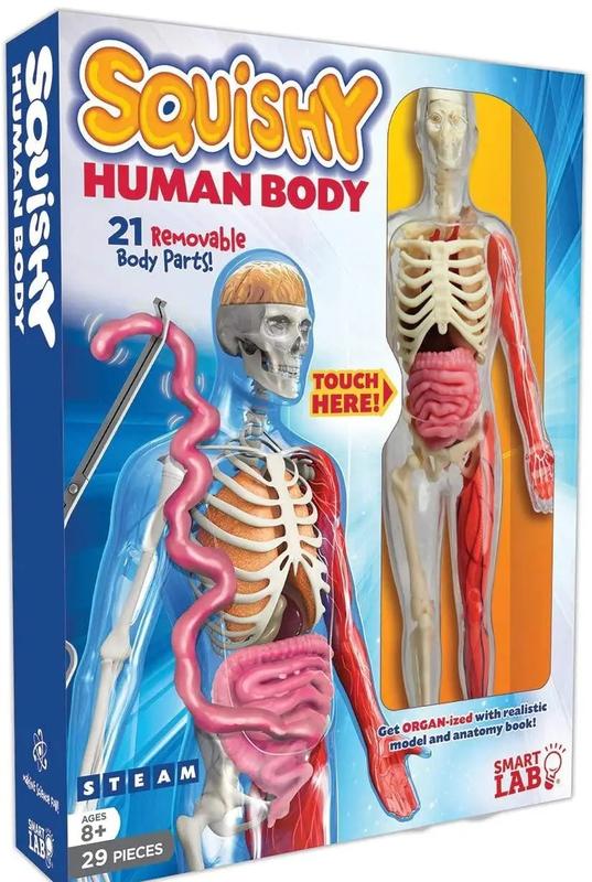 Smart lab squishy human body on sale