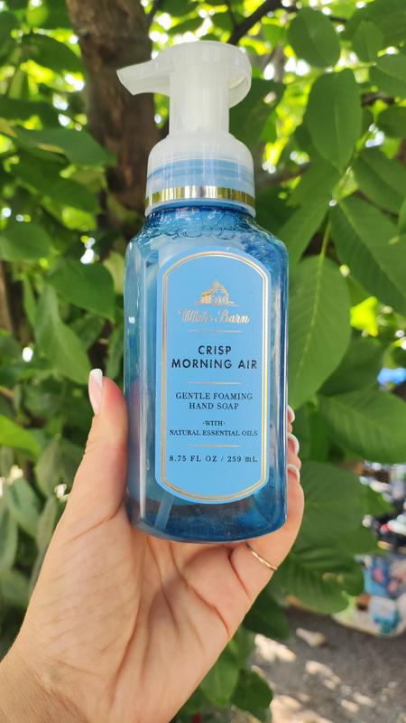 bath and body crisp morning air 259 295