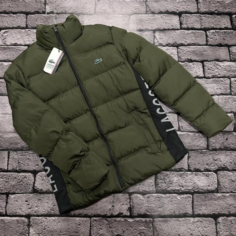 lacoste 3380 171709577