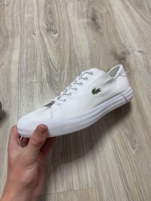 Lacoste white price best sale