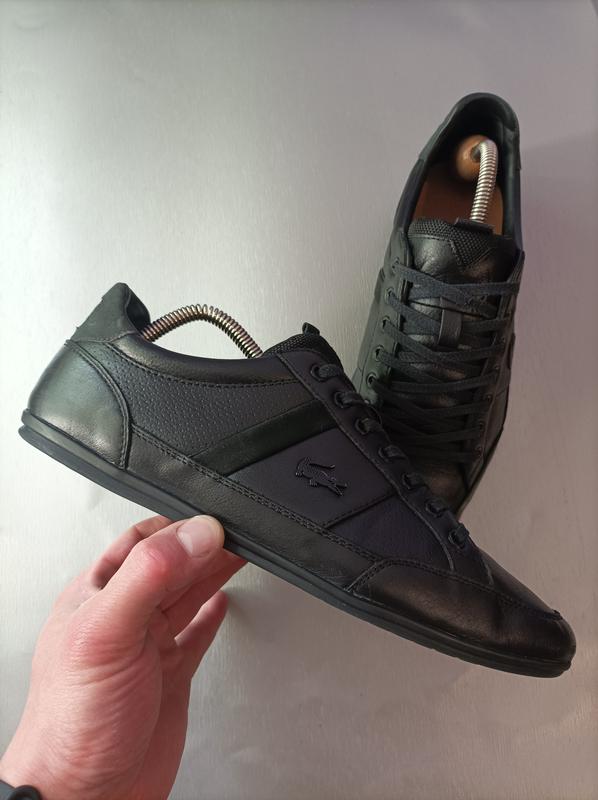 Классические кроссовки lacoste chaymon — цена 900 грн в каталоге ...