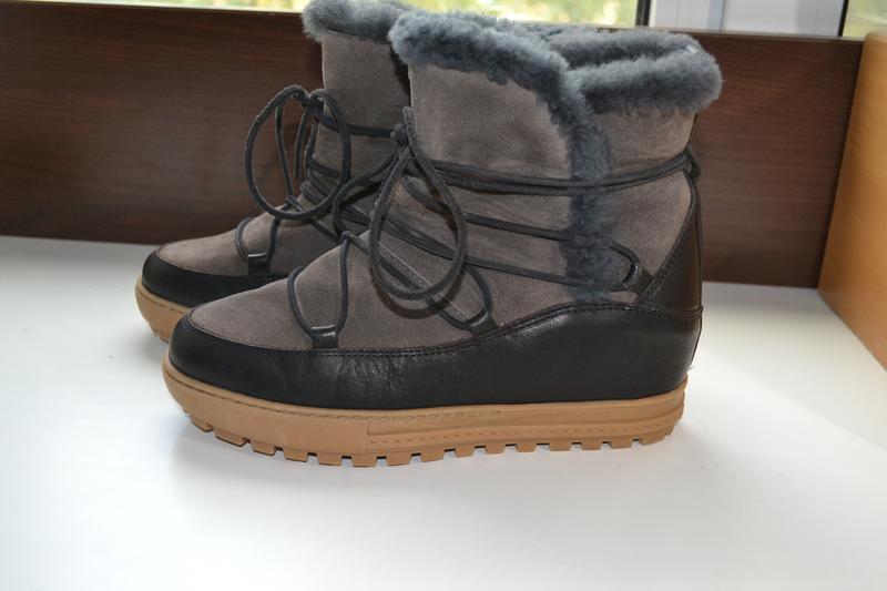 ecco timberland