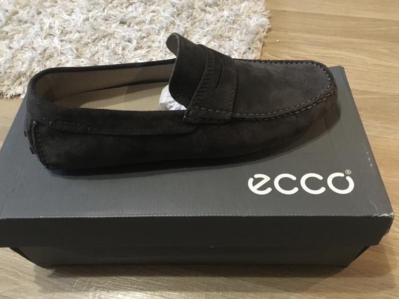 ecco dynamic moc 2.0