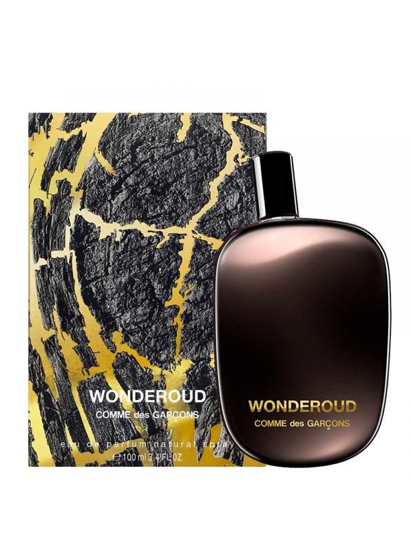 comme des garcons wonderoud