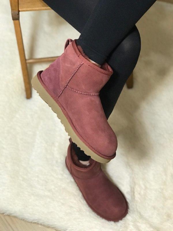 Шикарные женские зимние угги ugg classic mini ii boot,bordeaux suede,wool —  цена 2019 грн в каталоге Ботинки ✓ Купить женские вещи по доступной цене на  Шафе | Украина #28895984