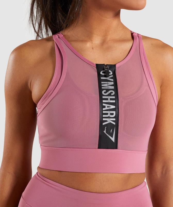 elevate sports bra gymshark