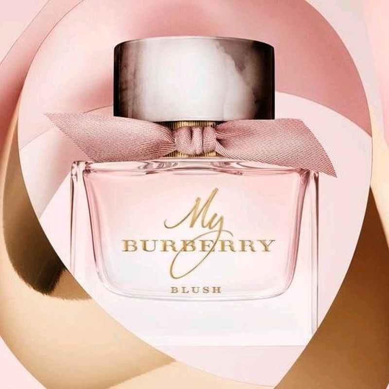Burberry blush 100ml new arrivals