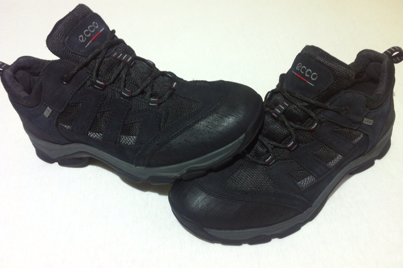 ecco receptor technology