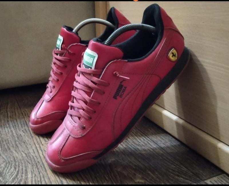 Puma roma cheap chestnut