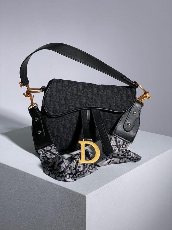Christian dior saddle hotsell
