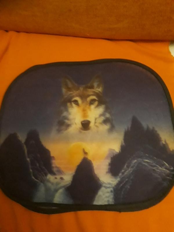 Защитные сетки на окна для авто — цена 150 грн в каталоге Декоративные ...