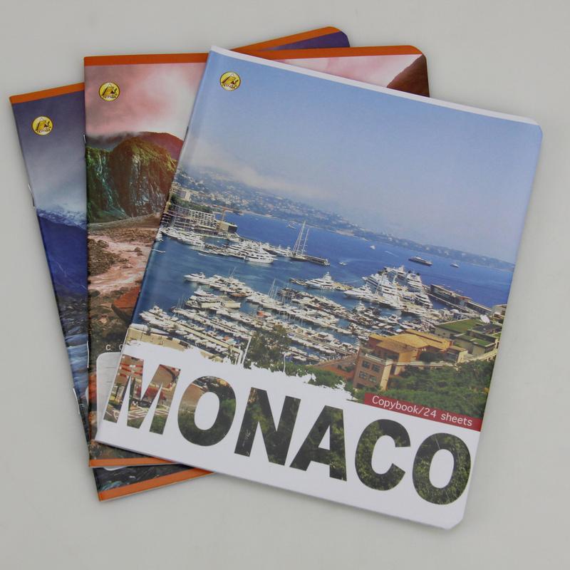 Тетрадь ученическая в клетку 24 листа цветная обложка — цена 16 грн в ...