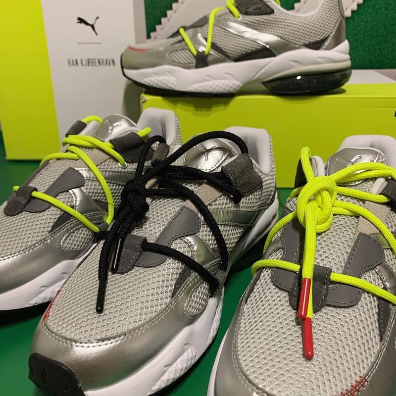 Puma clearance cell han