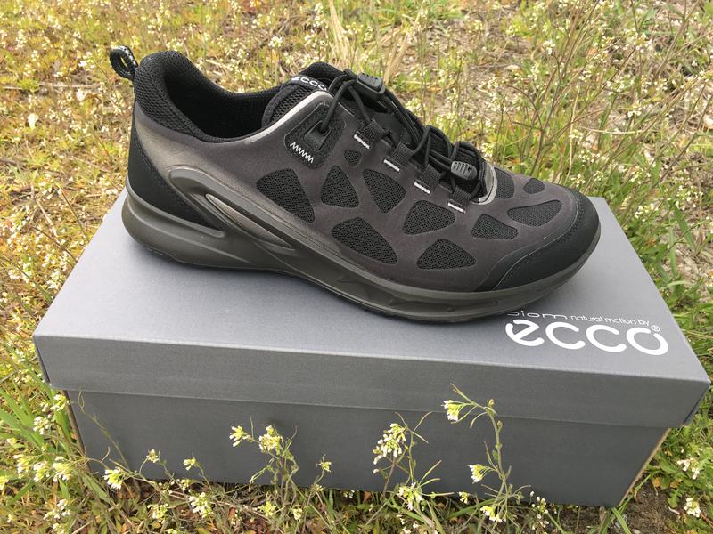 ecco biom omniquest