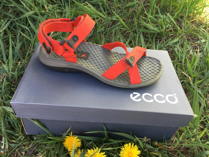 Женские сандалии ecco receptor sandal 722103 22333 — цена 1400 грн в  каталоге Босоножки ✓ Купить женские вещи по доступной цене на Шафе |  Украина #36552016