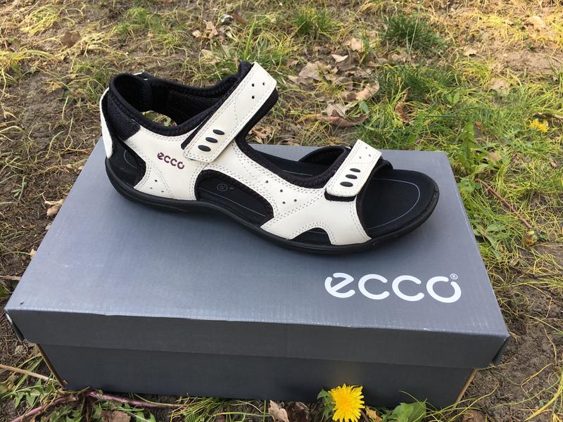 Ecco kana store