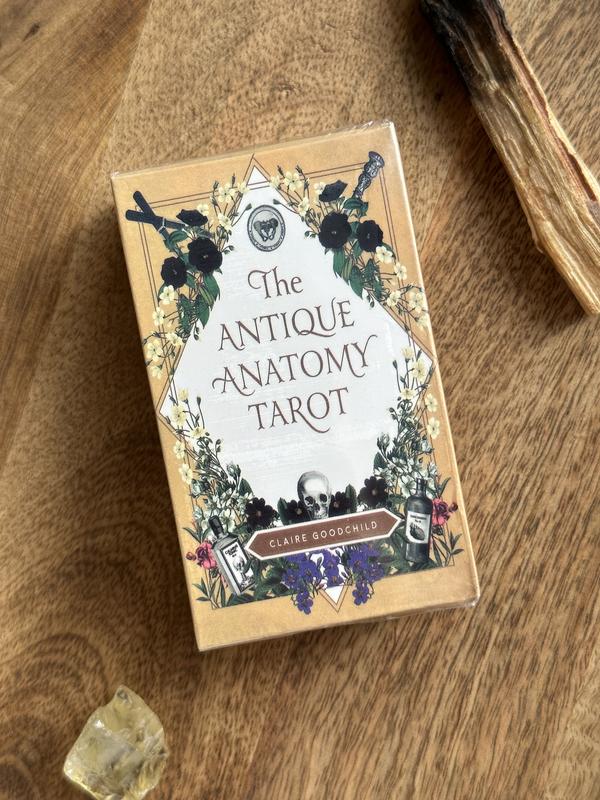 Новая колода карт таро the antique anatomy античная анатомия — цена 350 ...