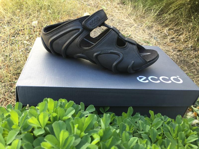 Ecco spark store