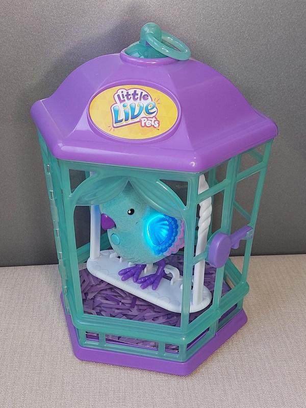 Little live pets rainbow glow online