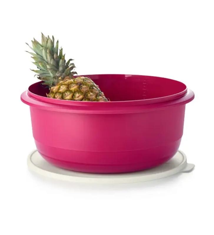 Замесочное блюдо "профи" (9,5л) tupperware — цена 1249 грн в каталоге ...