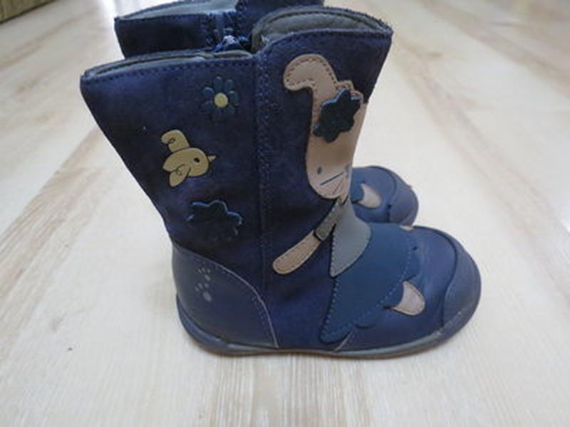 Кожаные демисезонные сапоги, сапожки clarks nibbles eva girls размер 6.5  gр.23.5р — цена 100 грн в каталоге Сапоги и ботинки ✓ Купить товары для  детей по доступной цене на Шафе | Украина #41305392