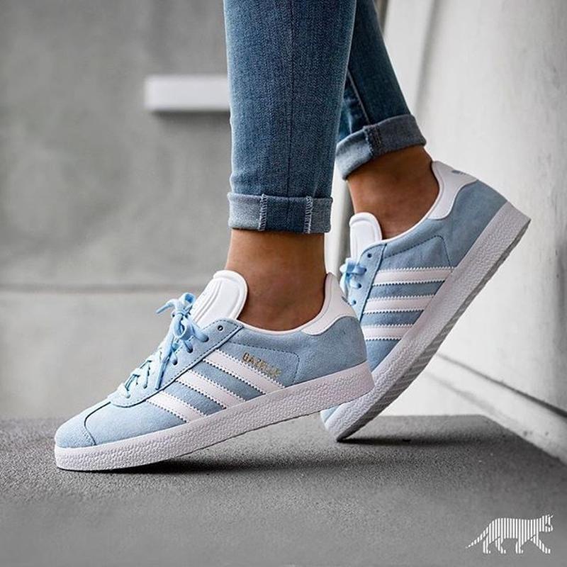 gazelle light blue