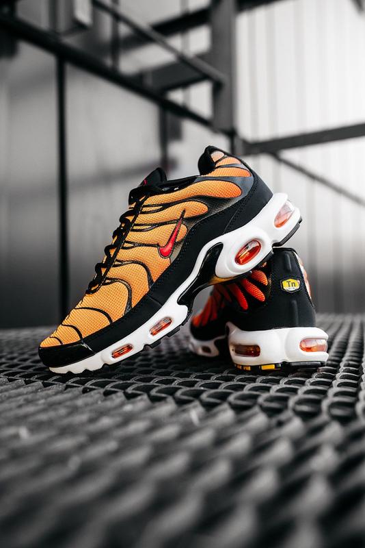 air max tn plus tiger