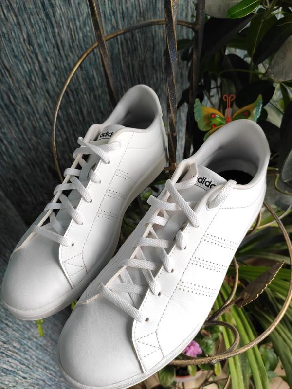 adidas ortholite float cena