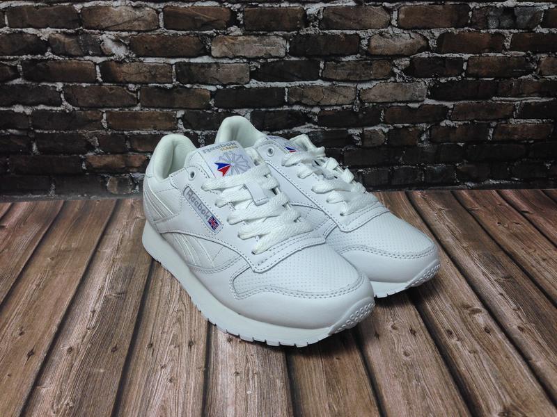 reebok classic 36 40 950