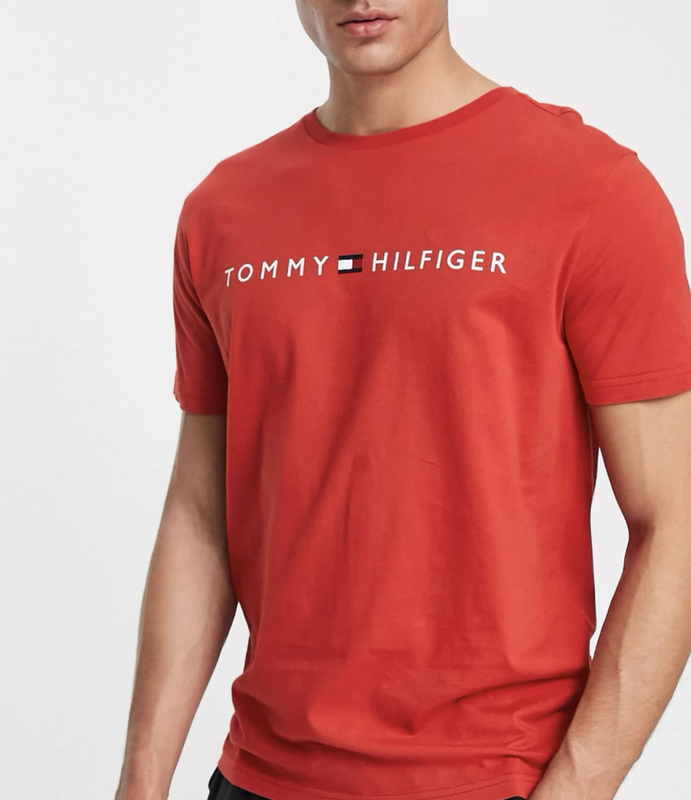 Футболки мужские tommy hilfiger томми хилфигер томмі хілфігер чоловіча ...