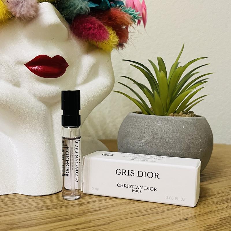 Christian dior gris online