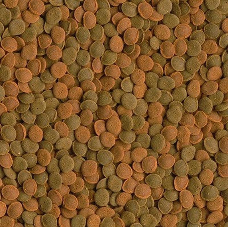 Корм для риб tetra wafer mix 100 грамів — цена 150 грн в каталоге ...