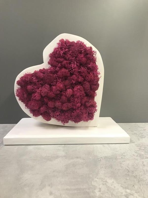 Кашпо с мохом -сердце — цена 300 грн в каталоге Комнатные растения ...