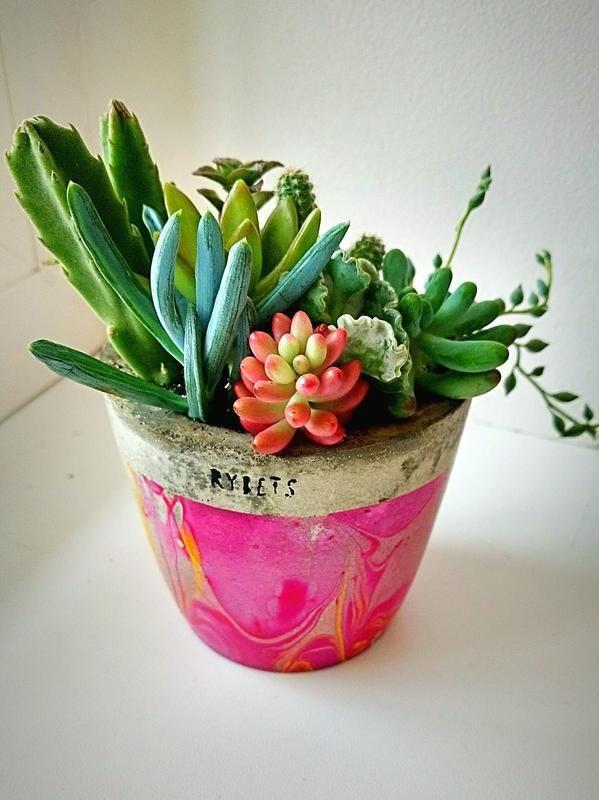 Суккуленты в бетонном кашпо с принтом — цена 528 грн в каталоге ...