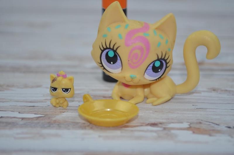 Littlest pet 2024 shop argos