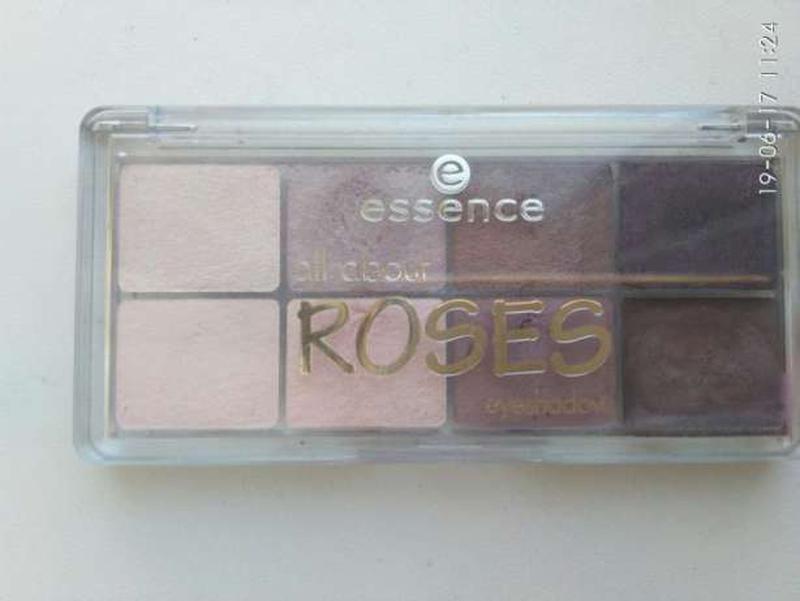   essence all about forest