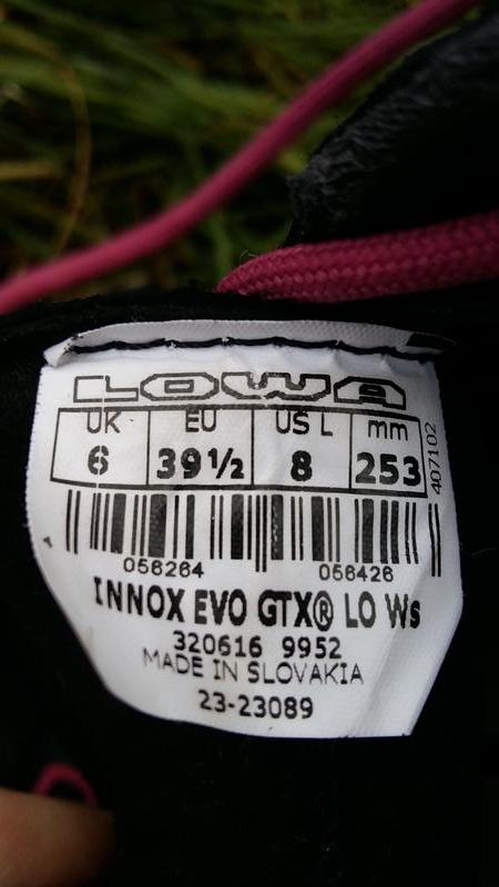 Трекинговые кроссовки lowa innox evo gtx lo ws 39,5 eu cтелька 25.3см —  ціна 750 грн у каталозі Кросівки ✓ Купити жіночі речі за доступною ціною на  Шафі | Україна #52046757