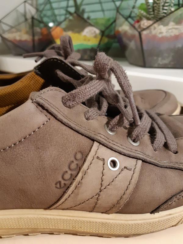 Ecco chander 42 online