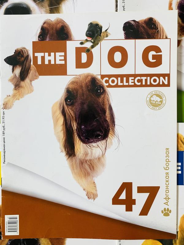 Журнали the dog collection — цена 40 грн в каталоге Журналы