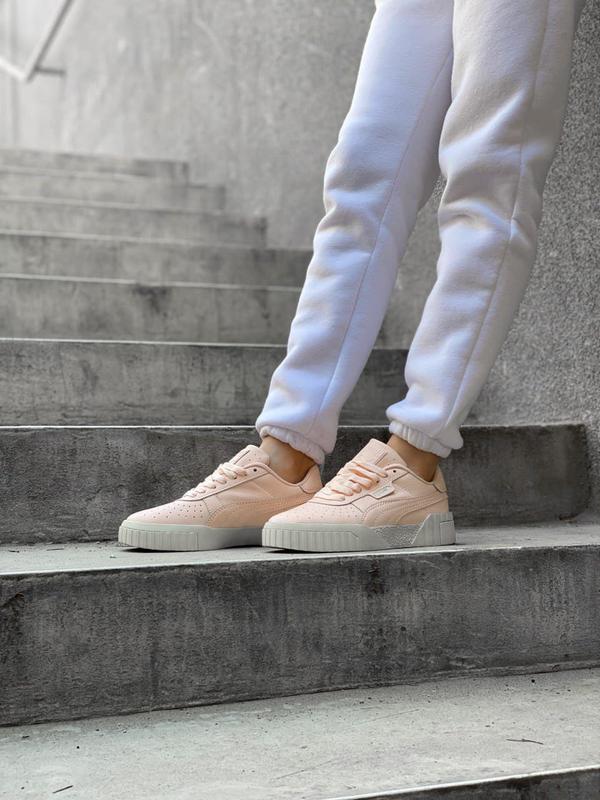 Puma cali peach