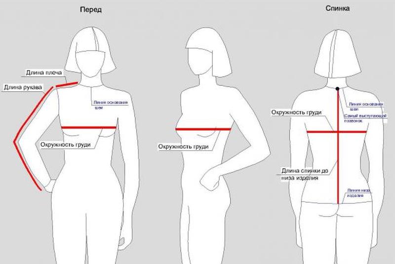 Сверху до низа. Длина плеча спинки как измерить. Снятие мерок для вязания свитера. Лена изделия по спинке. Длина изделия по спинке.