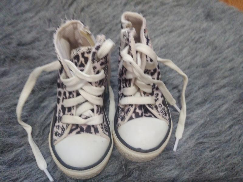 Converse 19 13