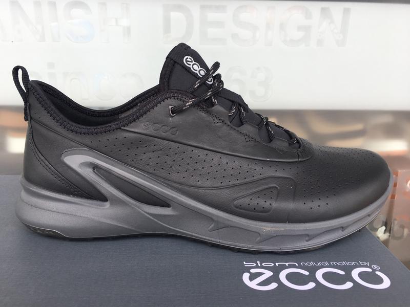 Ecco mens biom omniquest gtx hot sale