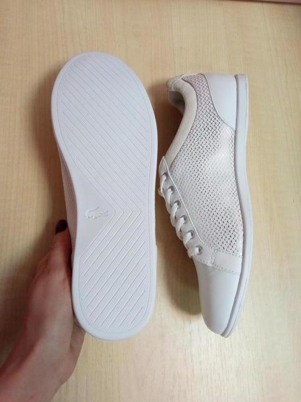 Lacoste 2024 rey 418
