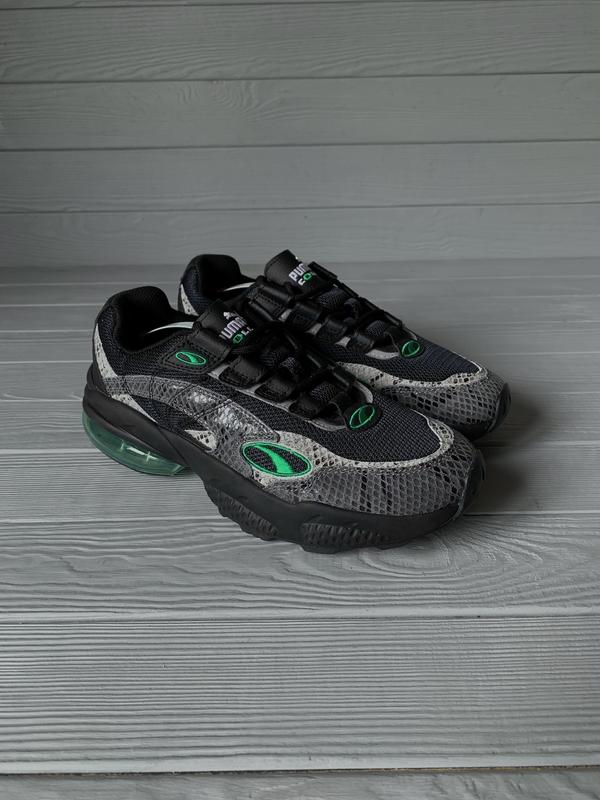 Puma cell venom animal store kingdom