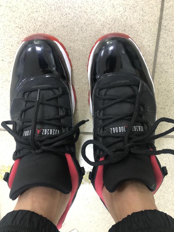 Jordan retro 11 low bred 2025