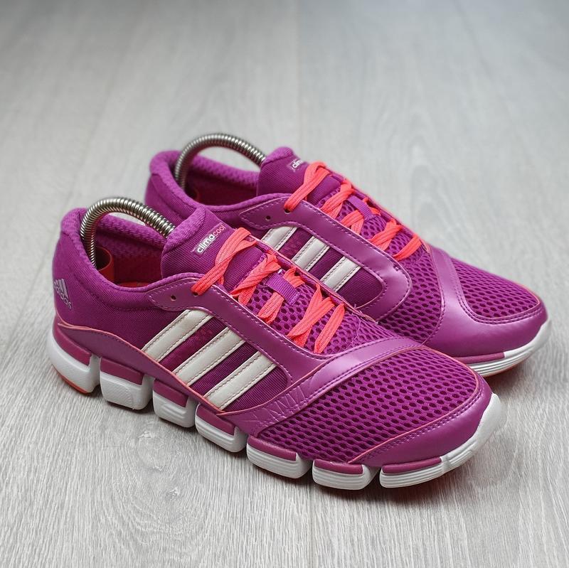 Climacool adidas clearance womens