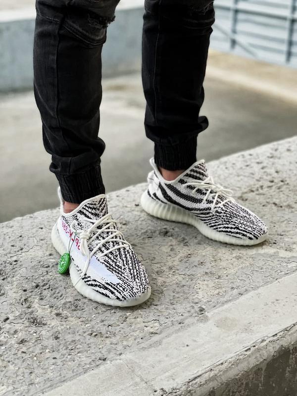 Sply 35 zebra price best sale