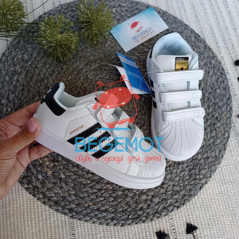 adidas superstsr 1650 73184774